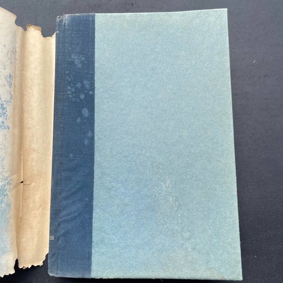 Voices From Other Lives by Thorwald Dethlefsen - Picture 2 of 10